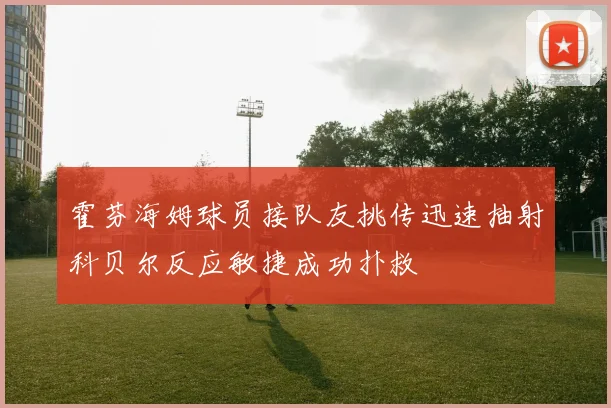 霍芬海姆球员接队友挑传迅速抽射科贝尔反应敏捷成功扑救